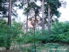hl10.jpg