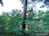 hl11.jpg