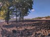 052 PXL_20240924_140626279-PANO