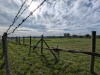 062 Erntefest