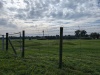 061 Erntefest
