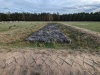 070 Rost
