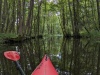 PXL_20230808_080456108.MP_