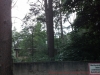 2012-08-08_15-00-52_966