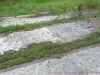 2012-08-11_12-53-23_473