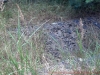 2012-08-11_12-58-51_910