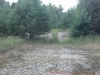 2012-08-11_12-59-25_289