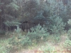 2012-08-11_13-02-59_497