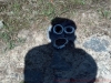 2012-08-11_13-09-17_367