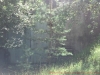 2012-08-11_13-12-34_77