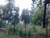2012-08-06_09-31-38_695
