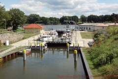 lychen-2012
