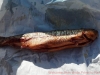 2012-08-11_17-18-45_904