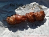 2012-08-11_17-38-43_86