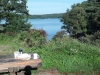 2012-08-12_08-24-02_42