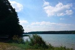 Lychen 2016