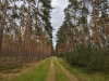 001_Landschaft