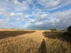004_Landschaft