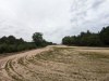 009_Landschaft