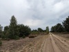 011_Landschaft
