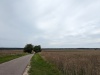 013_Landschaft