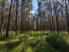 025_Landschaft