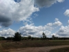 Impressionen aus Lychen Sommer 2019