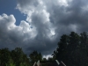 Impressionen aus Lychen Sommer 2019