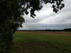 Impressionen aus Lychen Sommer 2019