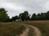 Impressionen aus Lychen Sommer 2019