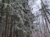 PXL_20240104_145051557
