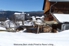 meransen-2014