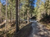 PXL_20240404_090629198