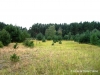 fussballfeld1