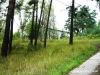 kompanie1
