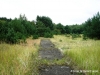 park1