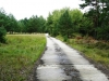 plattenweg2