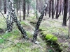 stellung4