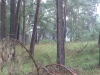 2012-08-06_10-26-53_188