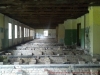 2012-08-06_10-28-15_116