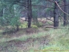 2012-08-06_10-37-40_33