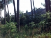 2012-08-06_17-24-42_545