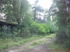 2012-08-06_17-46-33_263