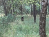 2012-08-12_12-17-12_677