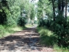 2012-08-12_12-18-20_920