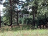 2012-08-12_12-19-52_617