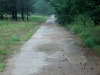 img_20120806_101144