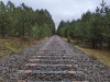 PXL_20240101_115741254