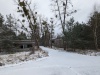 PXL_20240105_100916817