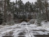 PXL_20240105_110021709